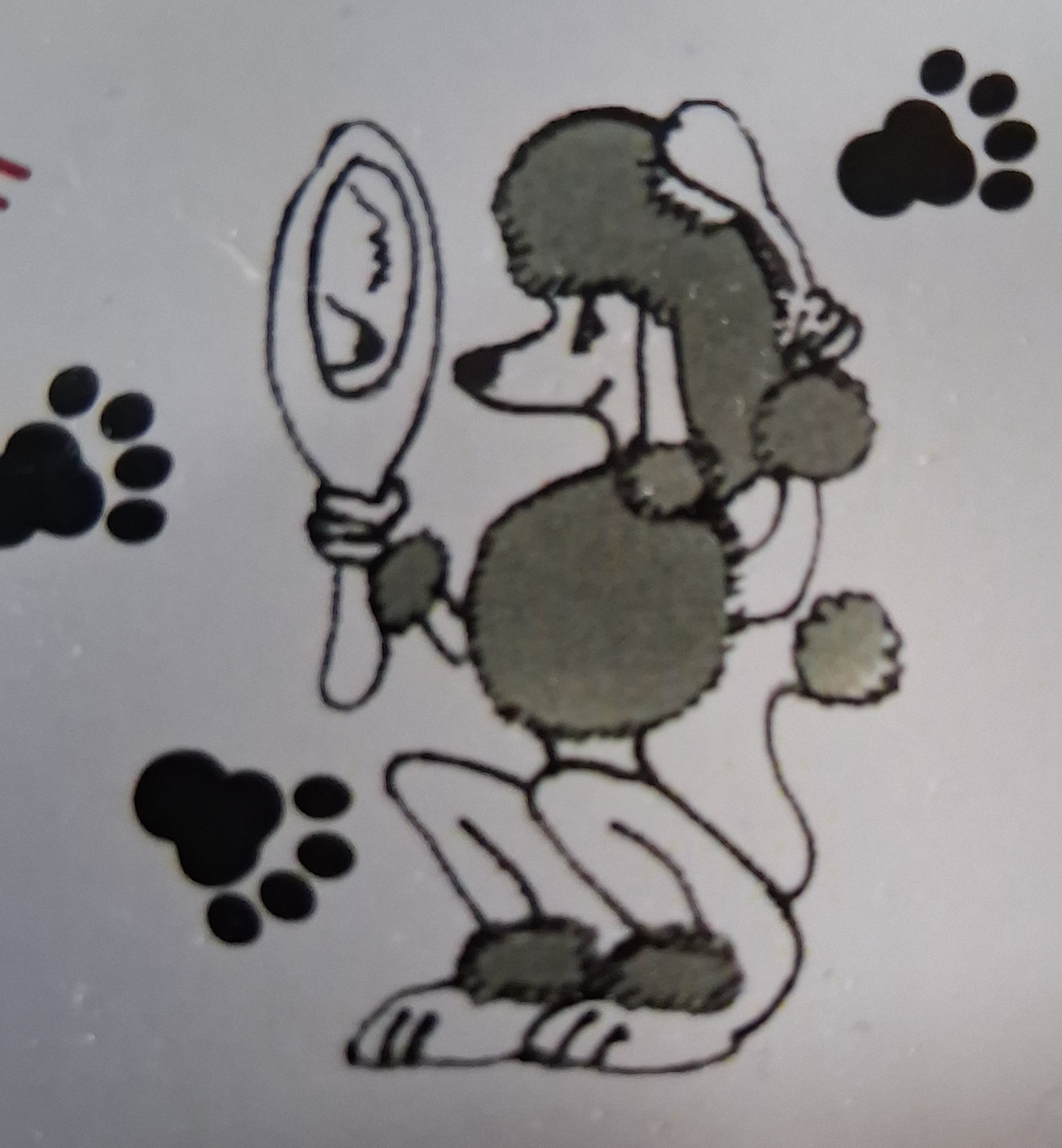 Terri's Pet Grooming